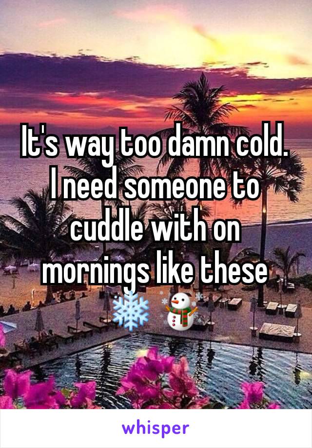 It's way too damn cold. I need someone to cuddle with on mornings like these ❄☃️