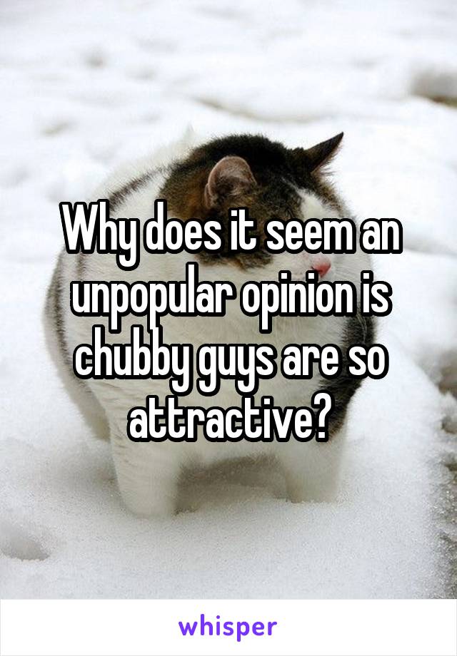 Why does it seem an unpopular opinion is chubby guys are so attractive?