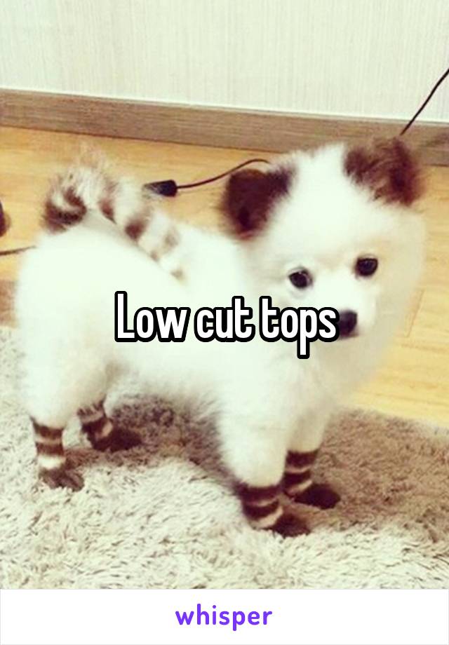 Low cut tops