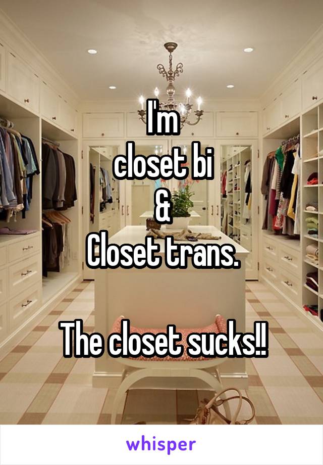 I'm
closet bi
&
Closet trans.

The closet sucks!!