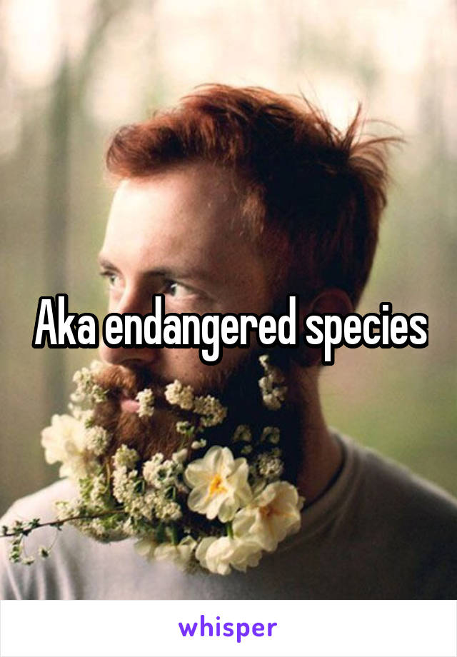 Aka endangered species