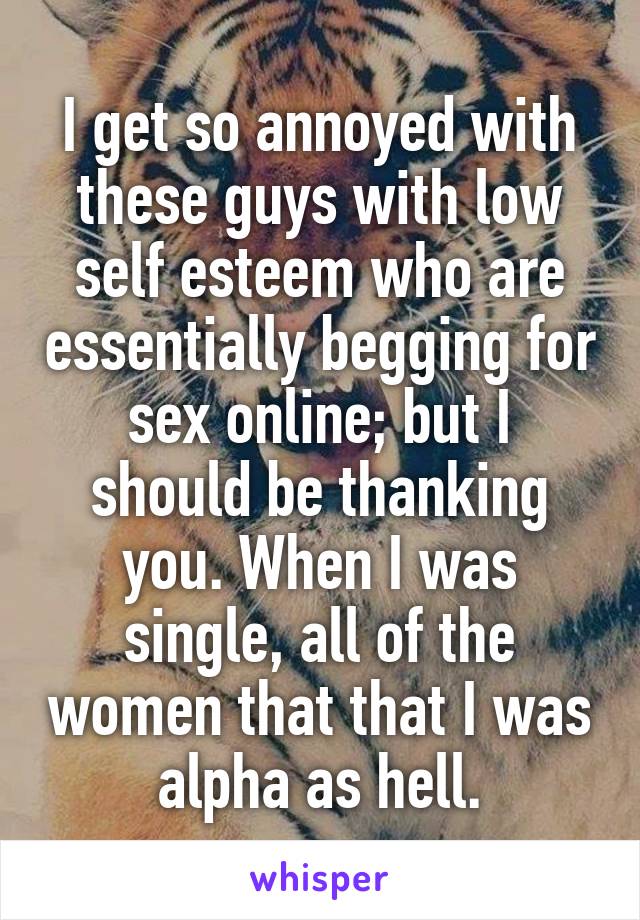 I get so annoyed with these guys with low self esteem who are essentially begging for sex online; but I should be thanking you. When I was single, all of the women that that I was alpha as hell.