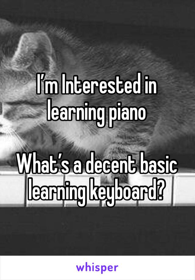 I’m Interested in learning piano 

What’s a decent basic learning keyboard?