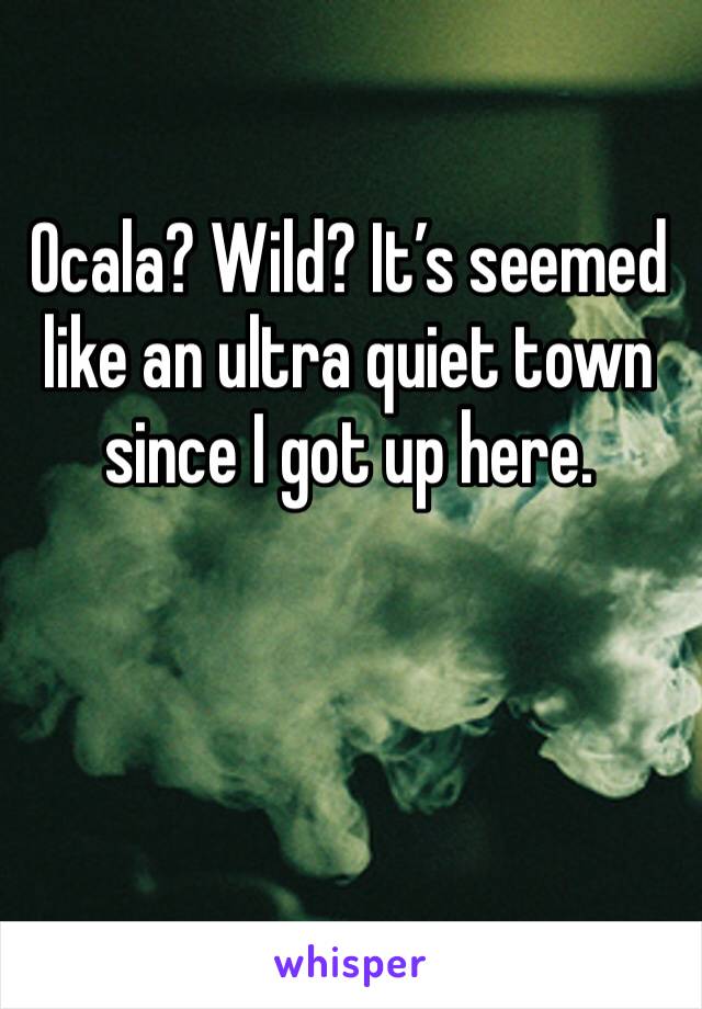 Ocala? Wild? It’s seemed like an ultra quiet town since I got up here. 