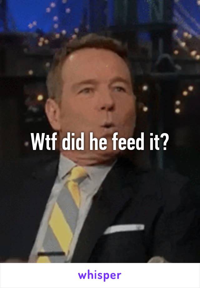 Wtf did he feed it?