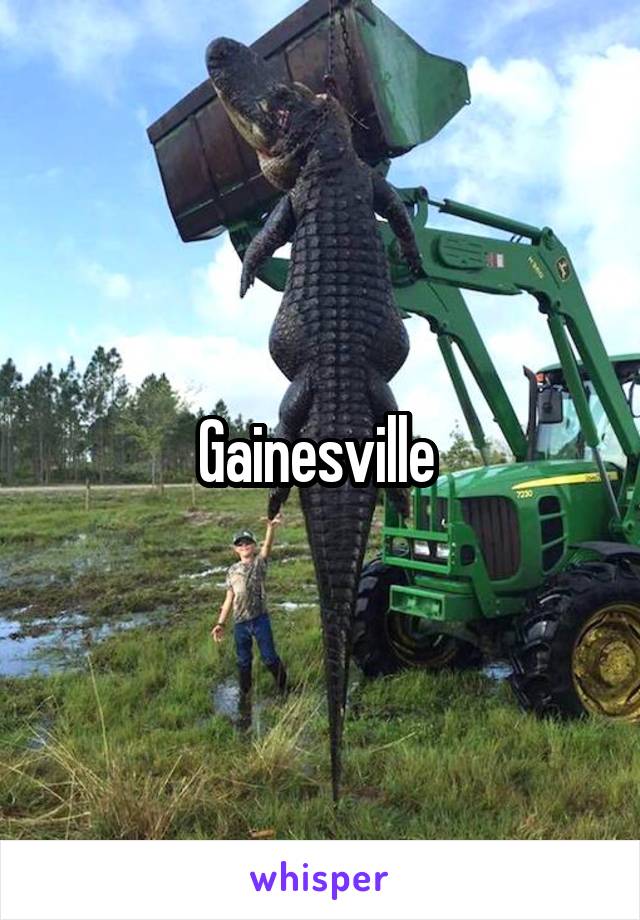 Gainesville 