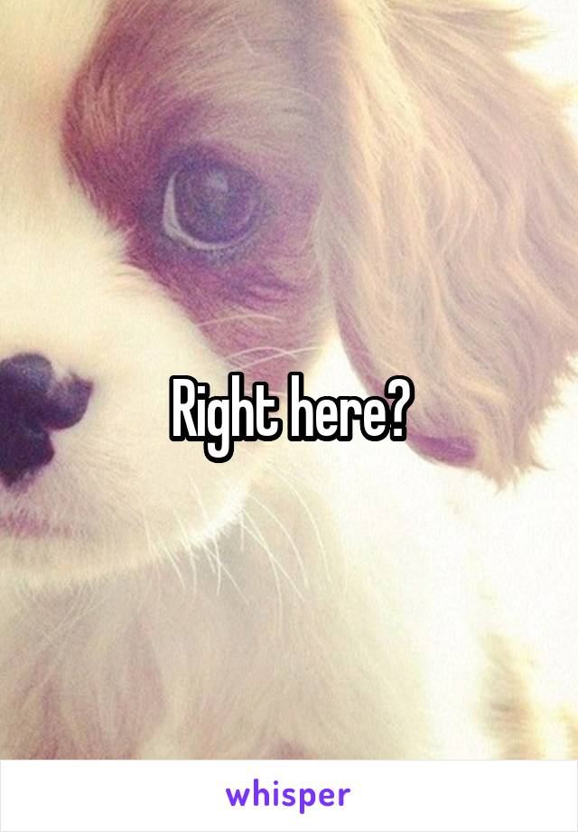 Right here?