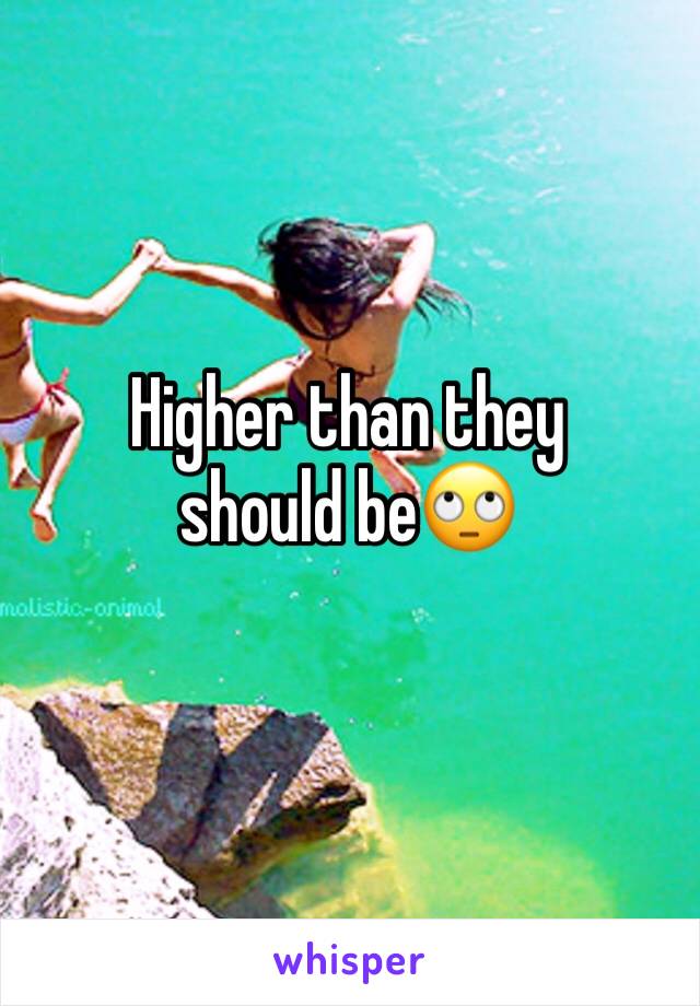 Higher than they should be🙄