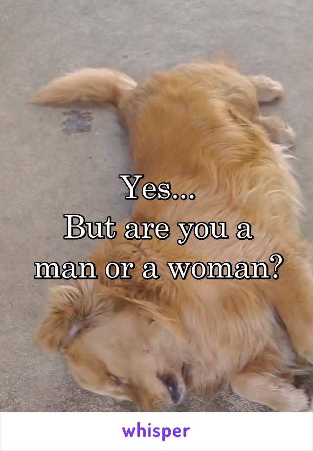 Yes...
But are you a man or a woman?