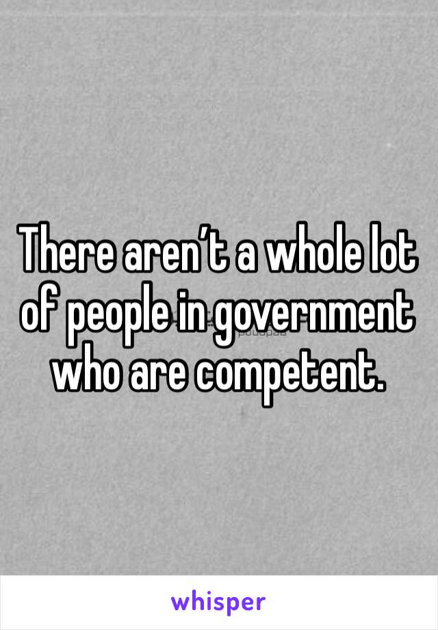 There aren’t a whole lot of people in government who are competent.