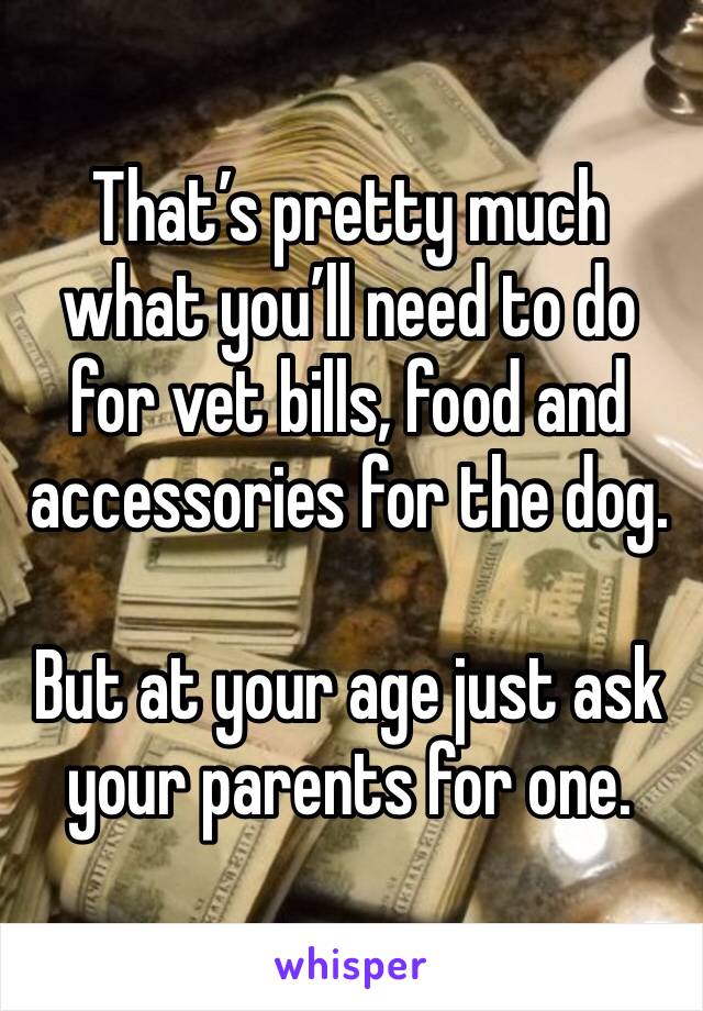 That’s pretty much what you’ll need to do for vet bills, food and accessories for the dog. 

But at your age just ask your parents for one. 