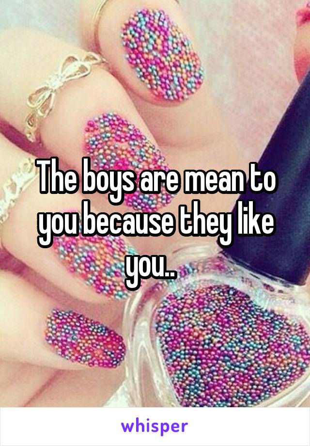 The boys are mean to you because they like you..  