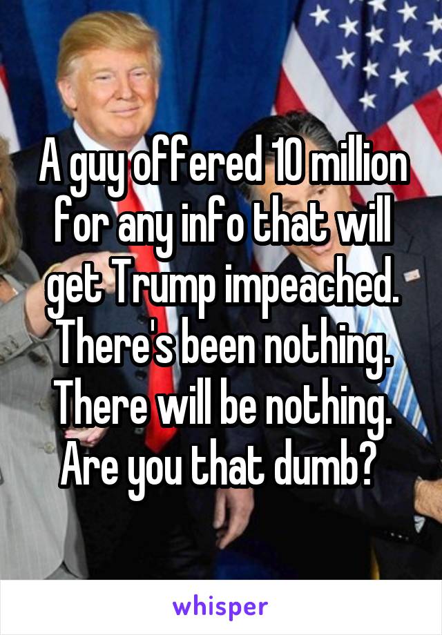 A guy offered 10 million for any info that will get Trump impeached. There's been nothing. There will be nothing. Are you that dumb? 