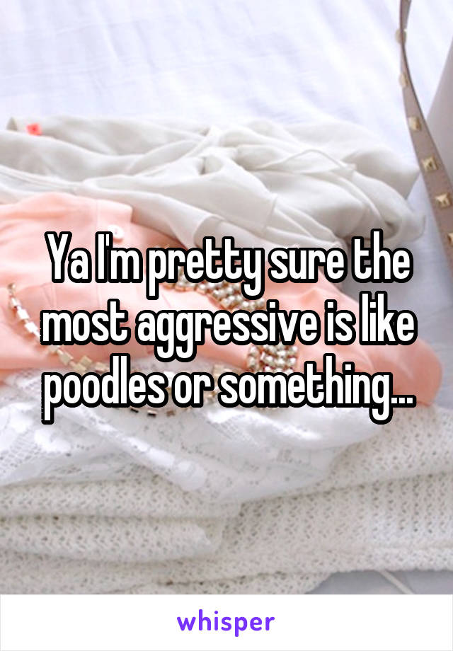 Ya I'm pretty sure the most aggressive is like poodles or something...