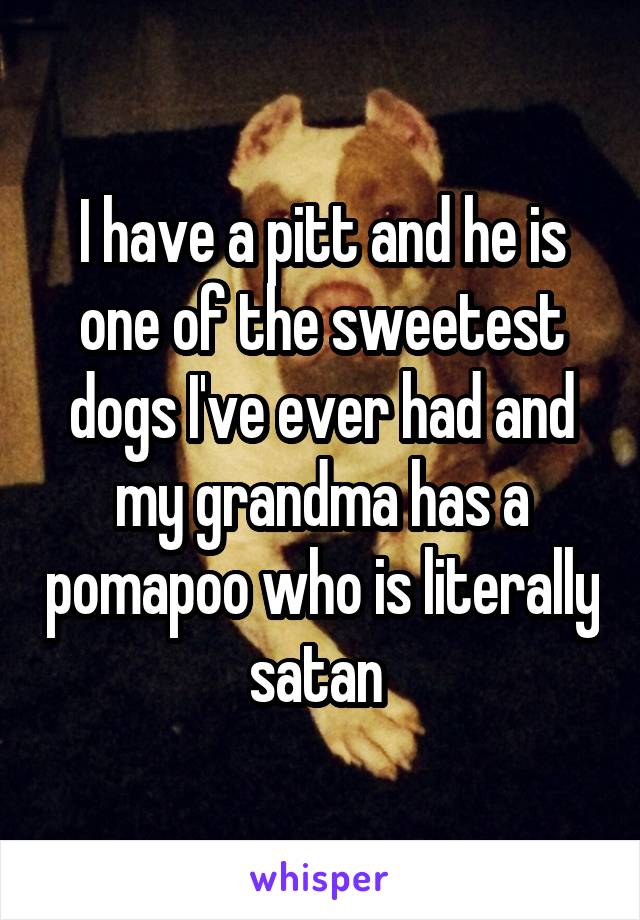 I have a pitt and he is one of the sweetest dogs I've ever had and my grandma has a pomapoo who is literally satan 