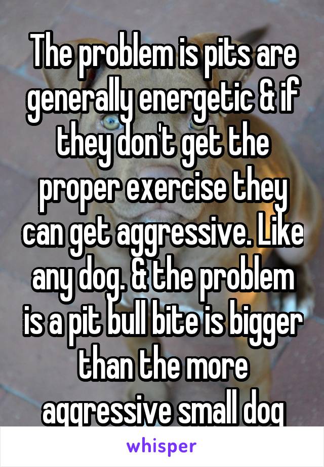 The problem is pits are generally energetic & if they don't get the proper exercise they can get aggressive. Like any dog. & the problem is a pit bull bite is bigger than the more aggressive small dog