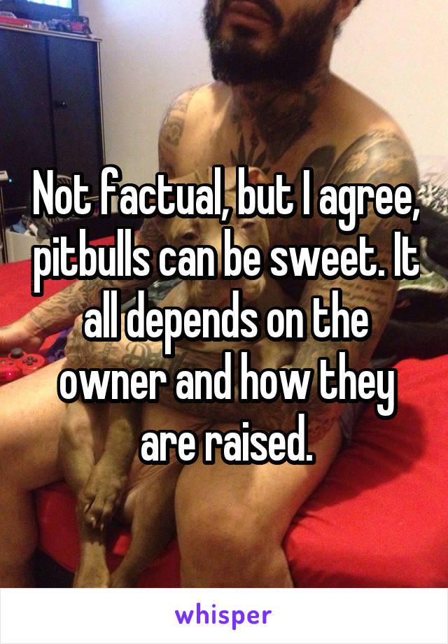 Not factual, but I agree, pitbulls can be sweet. It all depends on the owner and how they are raised.