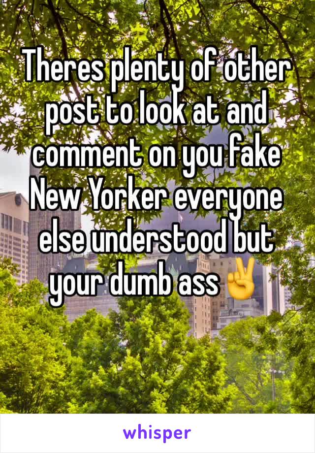 Theres plenty of other post to look at and comment on you fake New Yorker everyone else understood but your dumb ass✌️