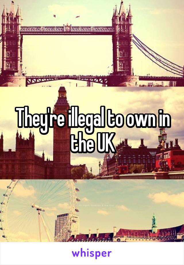 They're illegal to own in the UK