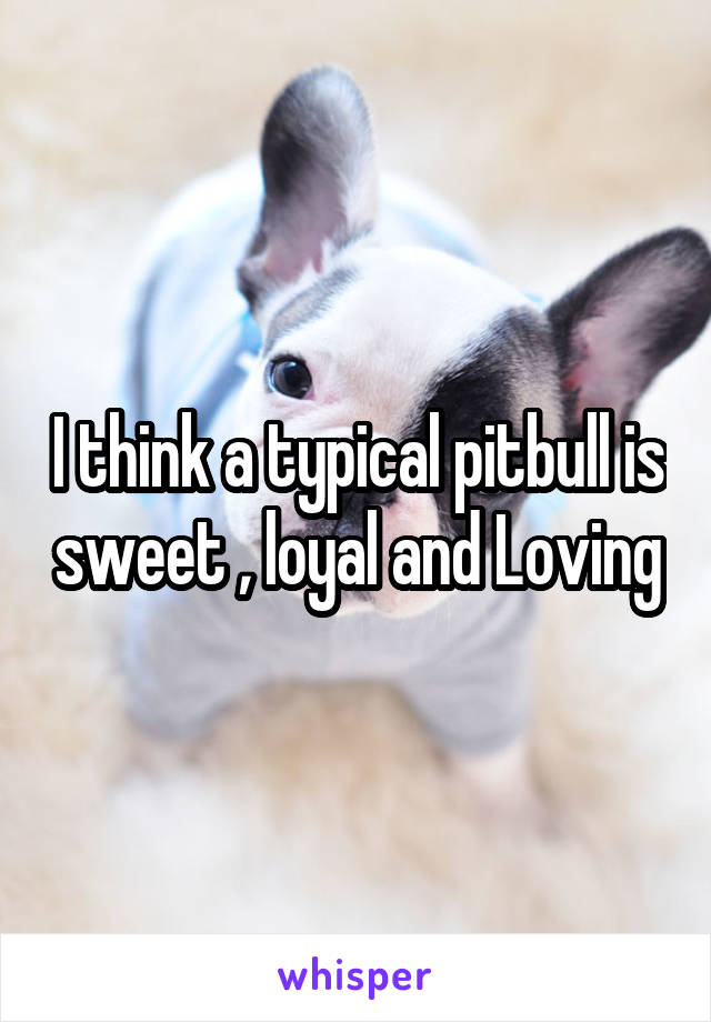 I think a typical pitbull is sweet , loyal and Loving