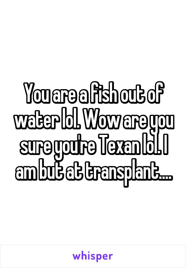 You are a fish out of water lol. Wow are you sure you're Texan lol. I am but at transplant....