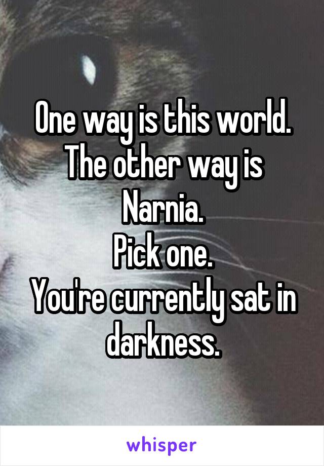 One way is this world.
The other way is Narnia.
Pick one.
You're currently sat in darkness.