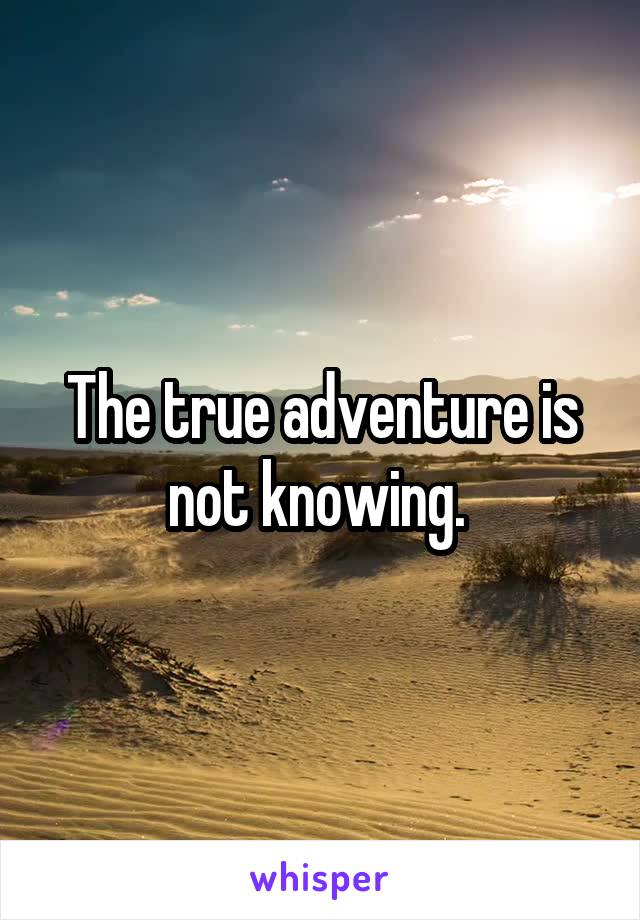 The true adventure is not knowing. 