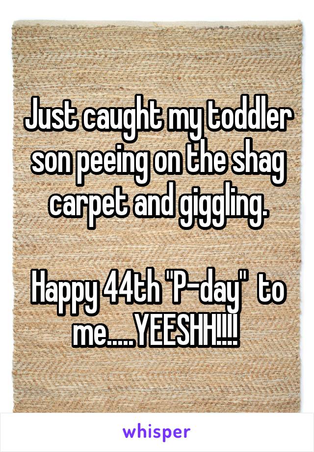 Just caught my toddler son peeing on the shag carpet and giggling.

Happy 44th "P-day"  to me.....YEESHH!!!! 