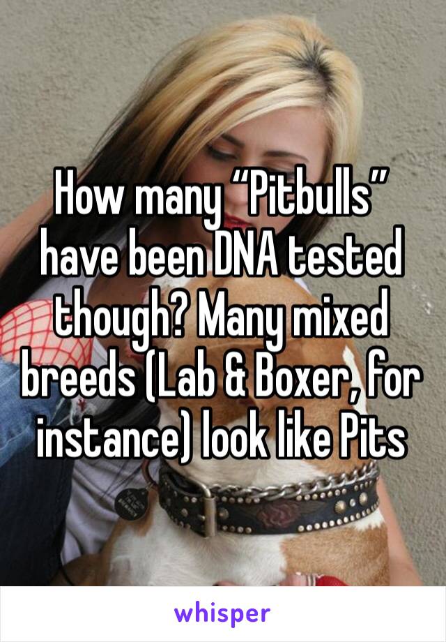 How many “Pitbulls” have been DNA tested though? Many mixed breeds (Lab & Boxer, for instance) look like Pits 