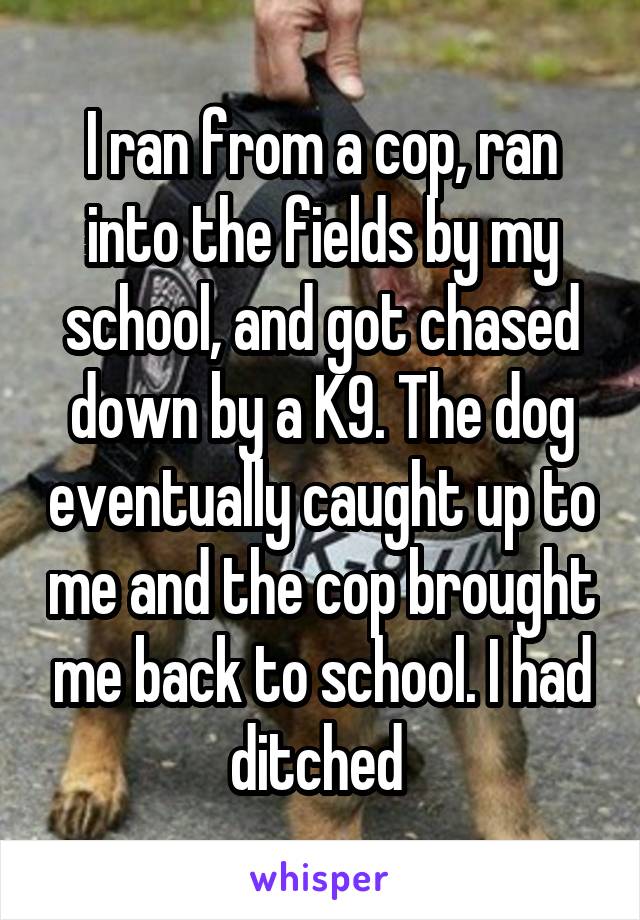 I ran from a cop, ran into the fields by my school, and got chased down by a K9. The dog eventually caught up to me and the cop brought me back to school. I had ditched 