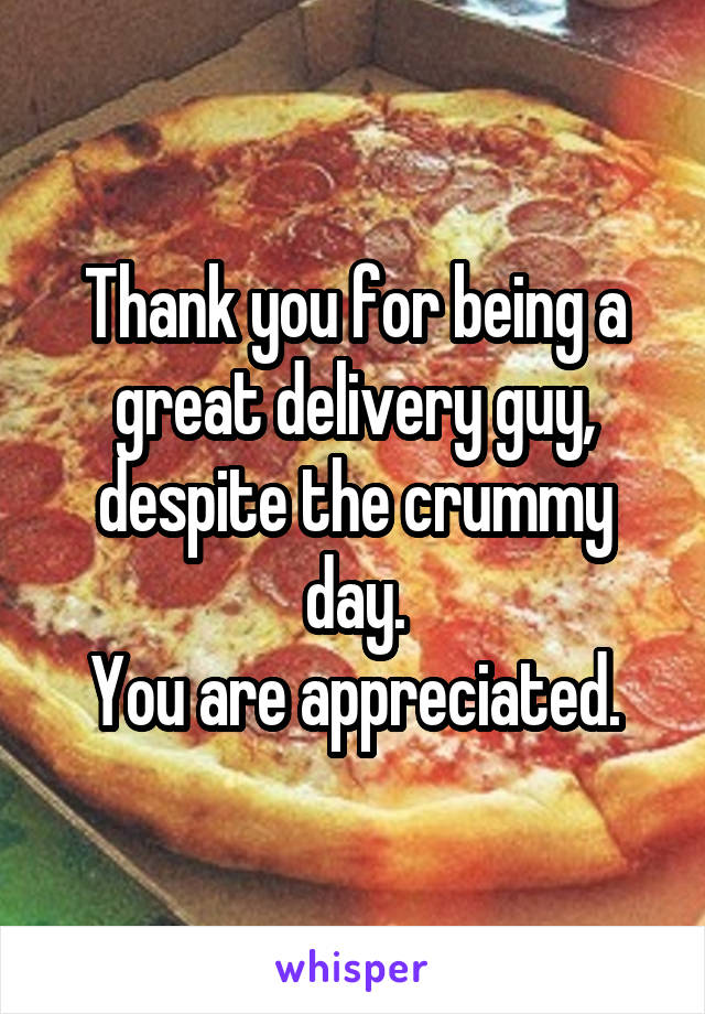 Thank you for being a great delivery guy, despite the crummy day.
You are appreciated.