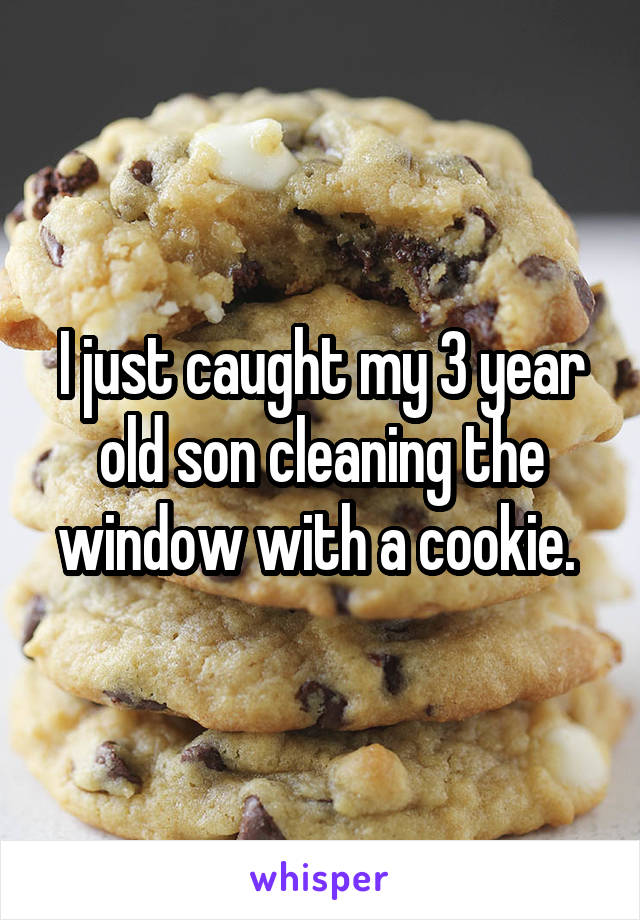 I just caught my 3 year old son cleaning the window with a cookie. 