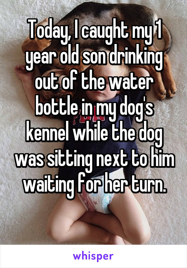 Today, I caught my 1 year old son drinking out of the water bottle in my dog's kennel while the dog was sitting next to him waiting for her turn.

