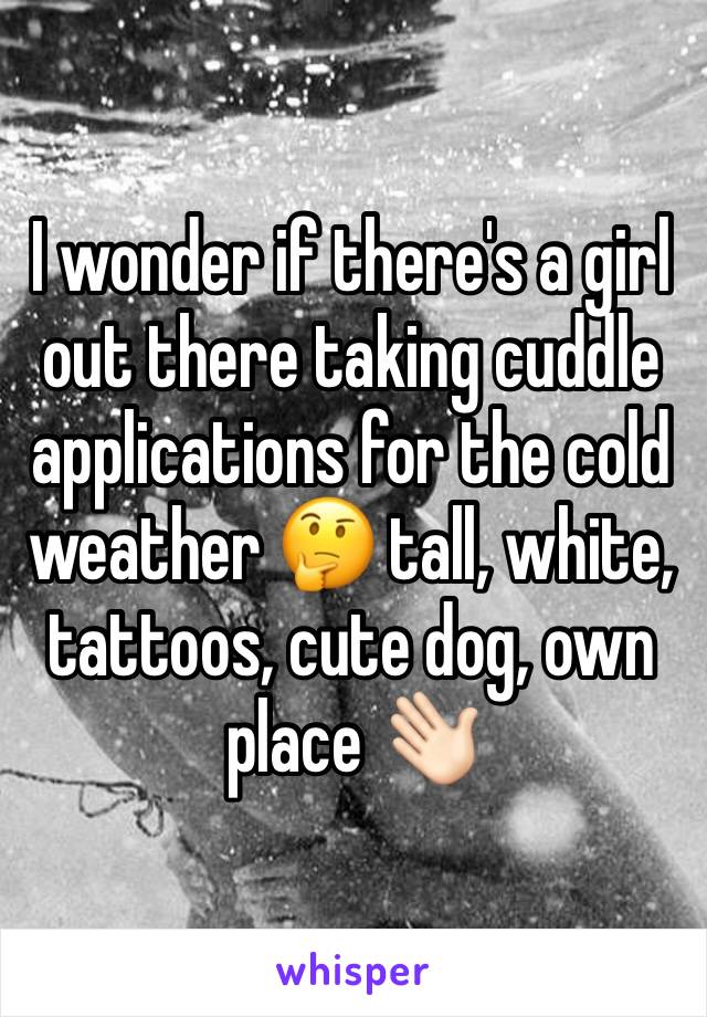 I wonder if there's a girl out there taking cuddle applications for the cold weather 🤔 tall, white, tattoos, cute dog, own place 👋🏻