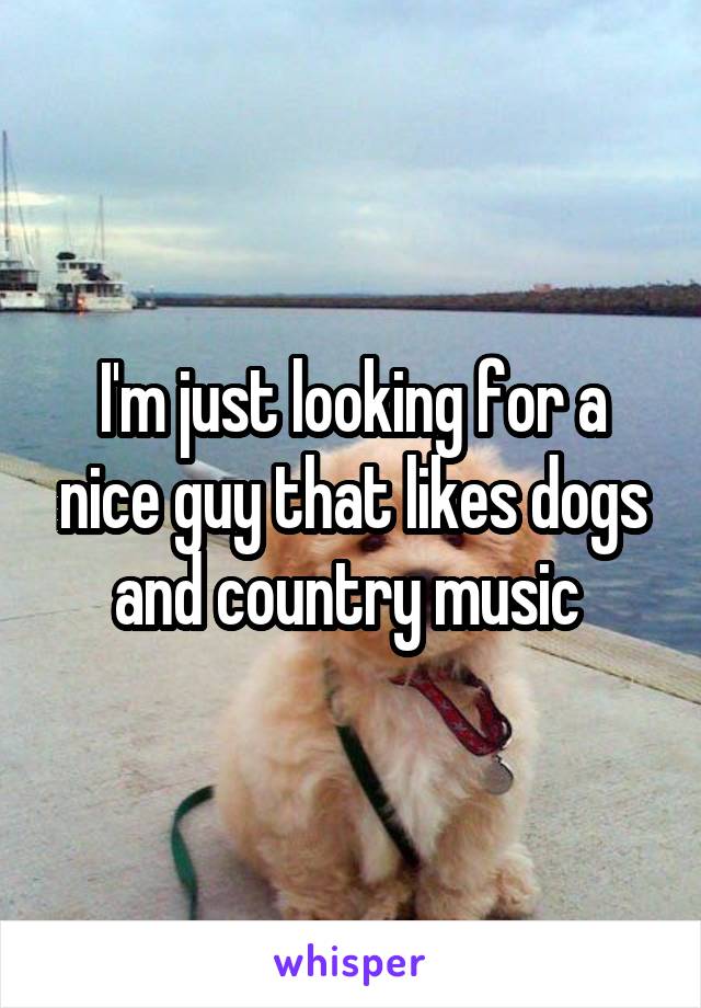 I'm just looking for a nice guy that likes dogs and country music 