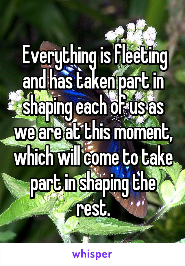  Everything is fleeting and has taken part in shaping each of us as we are at this moment, which will come to take part in shaping the rest.
