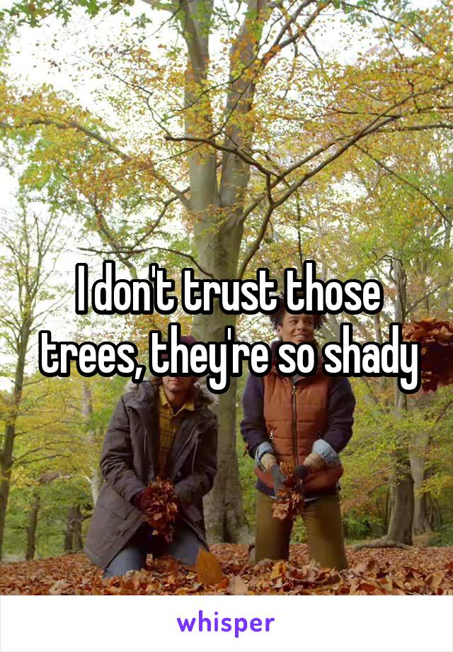 I don't trust those trees, they're so shady