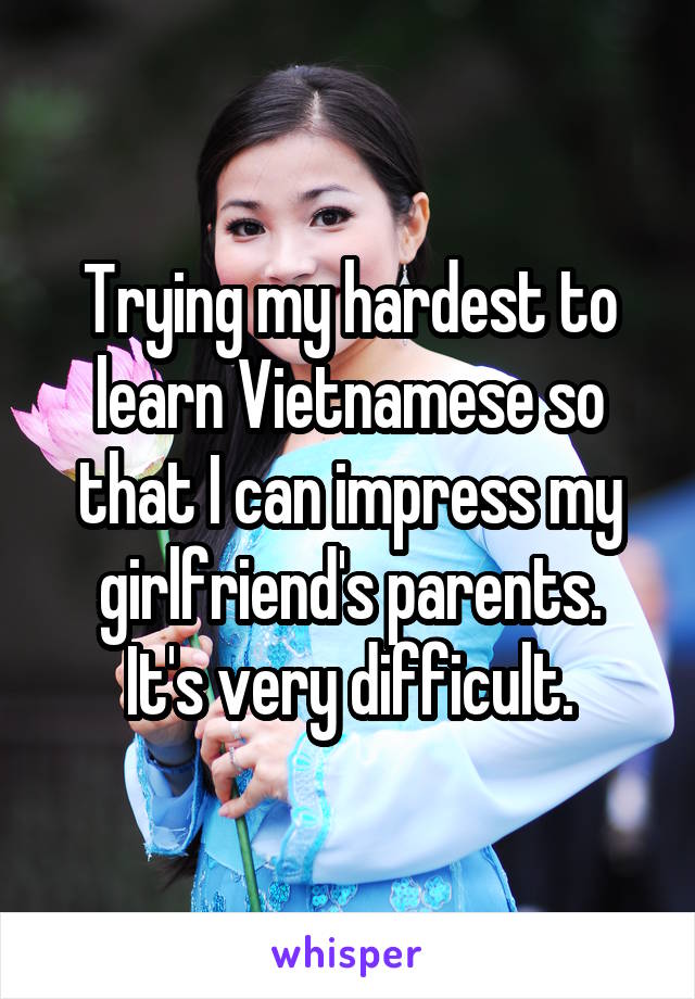 Trying my hardest to learn Vietnamese so that I can impress my girlfriend's parents.
It's very difficult.