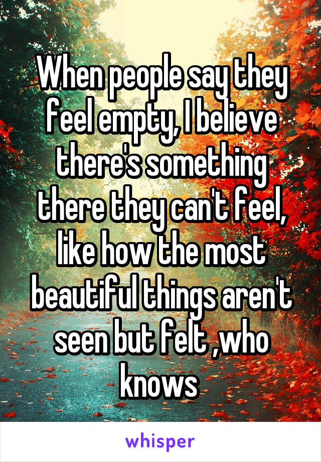 When people say they feel empty, I believe there's something there they can't feel, like how the most beautiful things aren't seen but felt ,who knows 