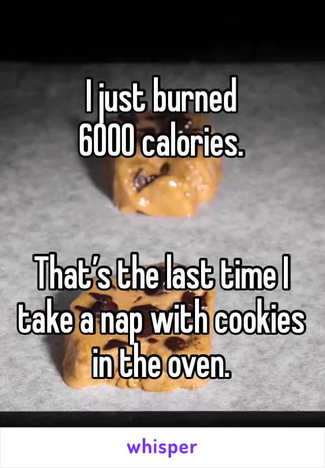 I just burned 6000 calories.


That’s the last time I take a nap with cookies in the oven.