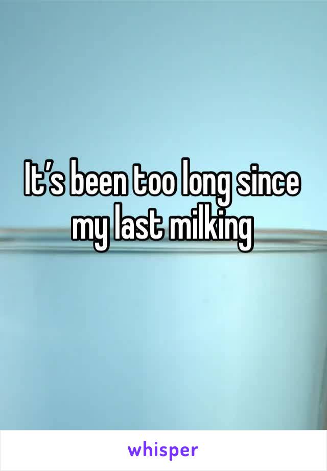 It’s been too long since my last milking 