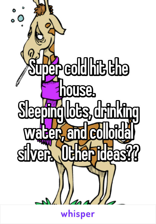Super cold hit the house. 
Sleeping lots, drinking water, and colloidal silver.   Other ideas??
