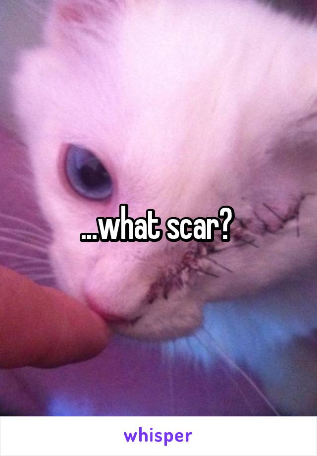 ...what scar? 