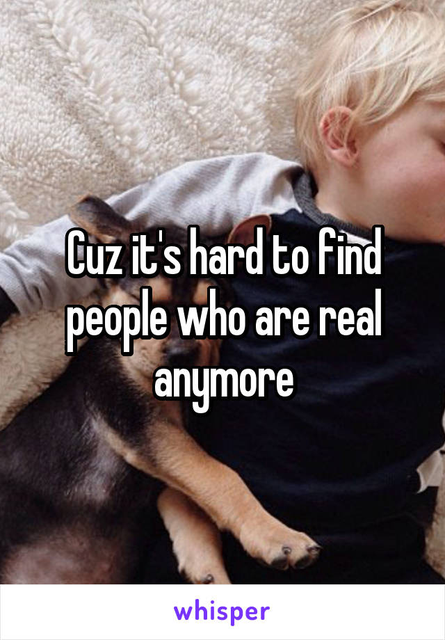 Cuz it's hard to find people who are real anymore