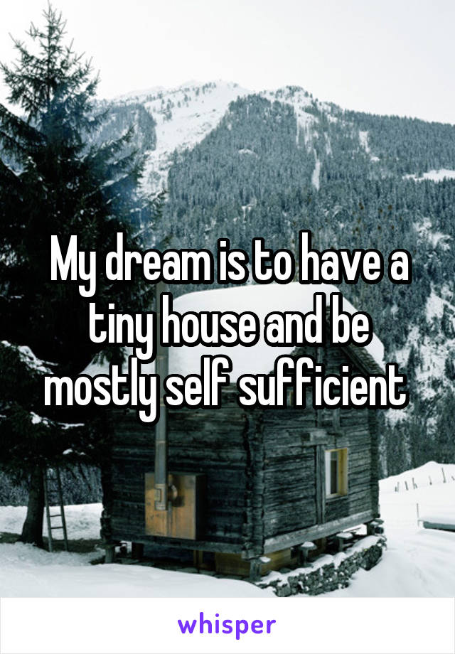 My dream is to have a tiny house and be mostly self sufficient 