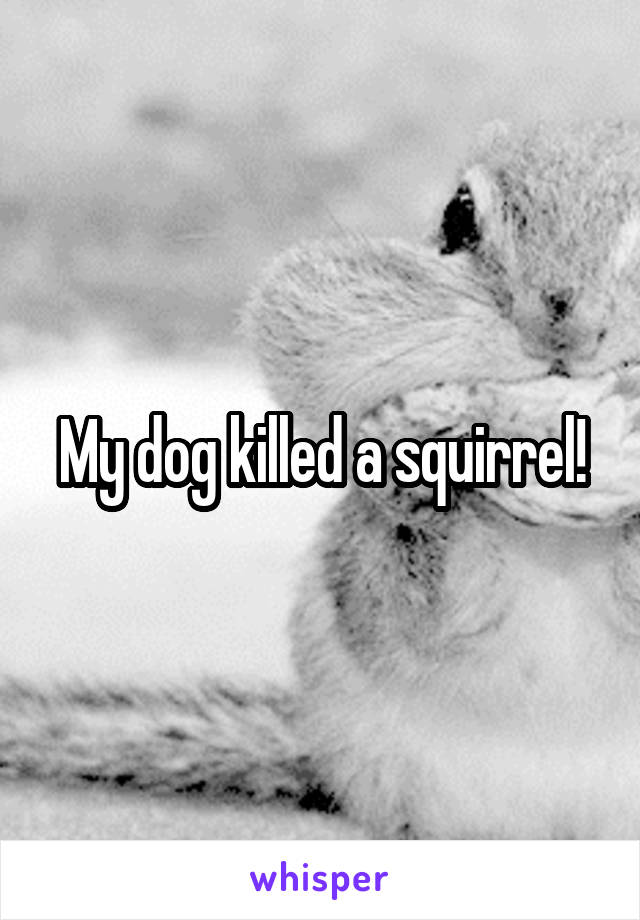 My dog killed a squirrel!