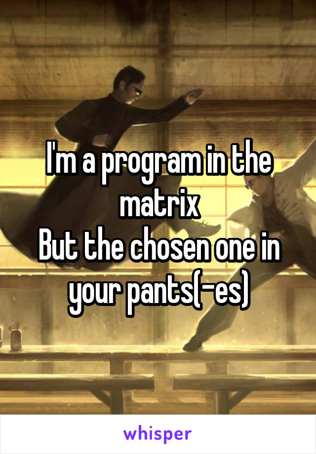 I'm a program in the matrix
But the chosen one in your pants(-es)