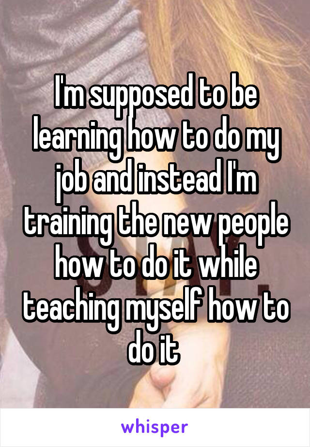 I'm supposed to be learning how to do my job and instead I'm training the new people how to do it while teaching myself how to do it 