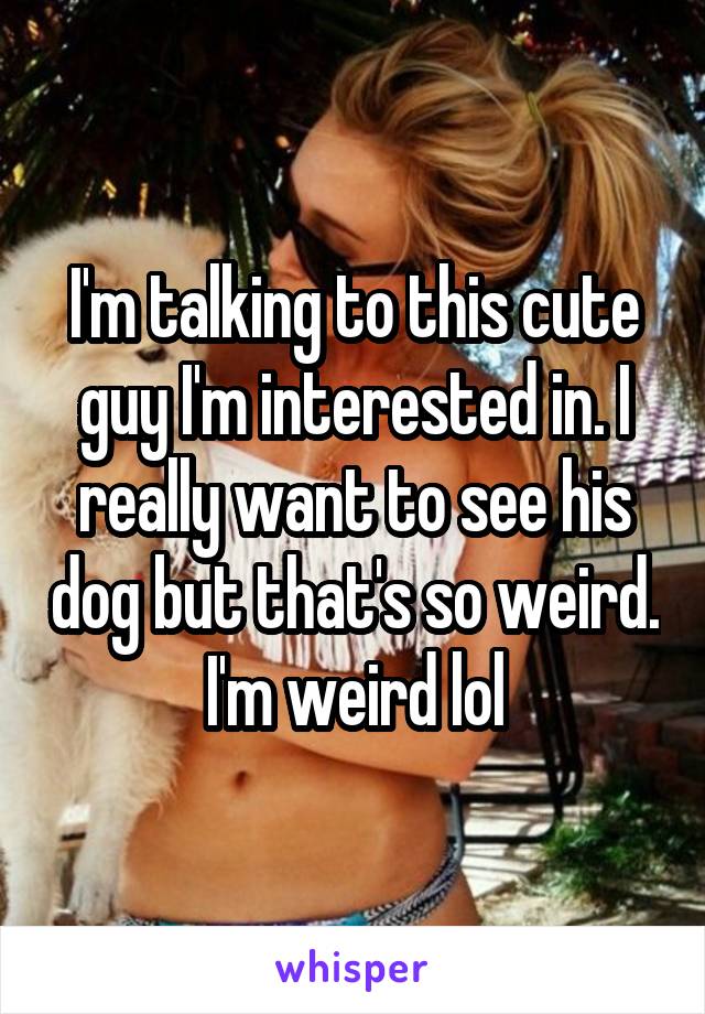 I'm talking to this cute guy I'm interested in. I really want to see his dog but that's so weird. I'm weird lol