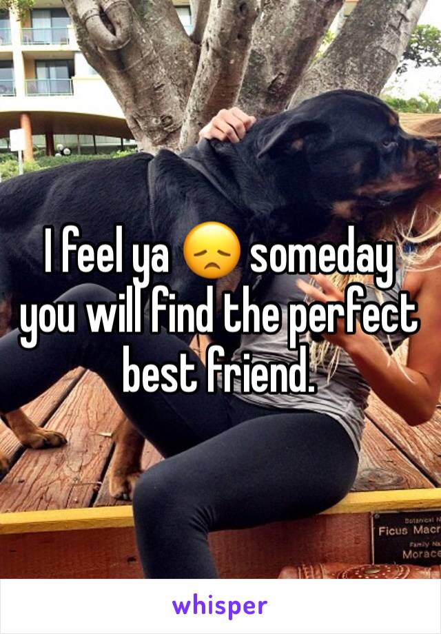 I feel ya 😞 someday you will find the perfect best friend. 
